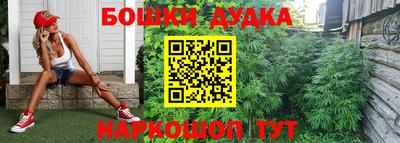крисы Берёзовский