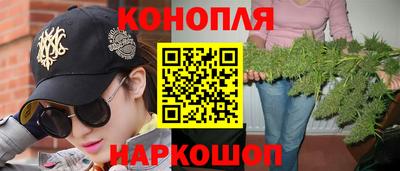 крисы Берёзовский