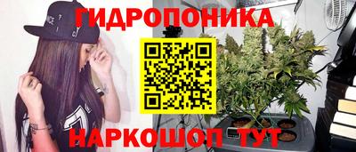 прущий лед Бийск