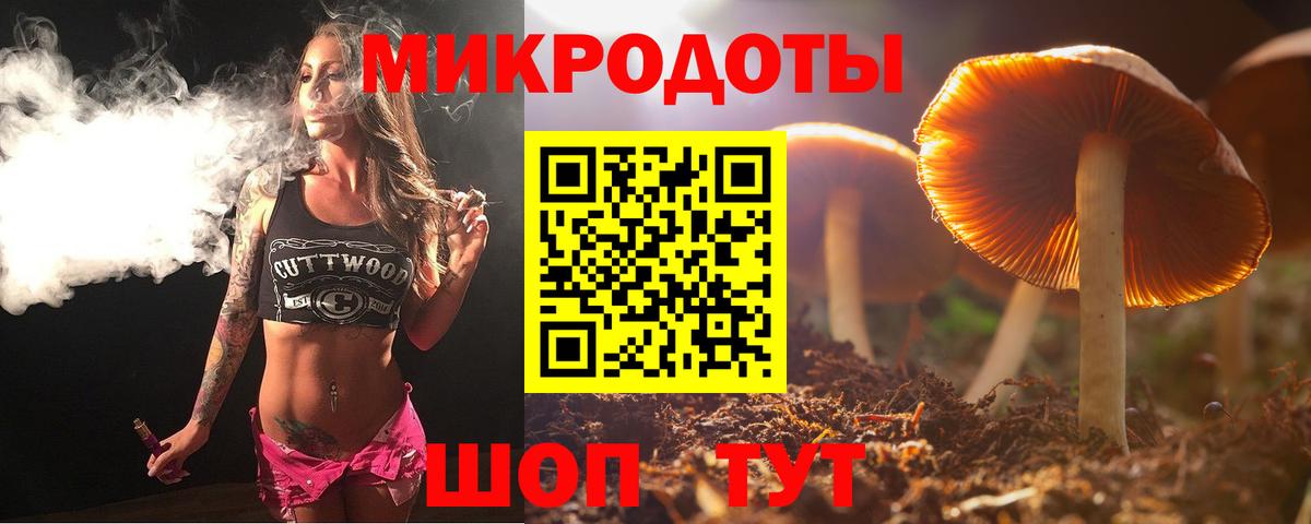 Псилоцибиновые грибы прущие грибы  наркота  Знаменск  Вход с VPN 
